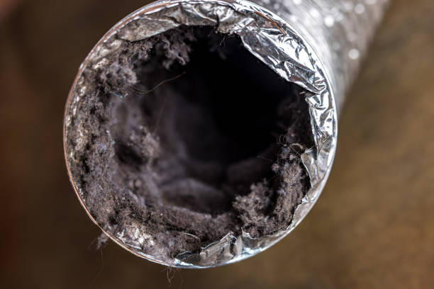 Best Affordable Duct Cleaning Services  in Lincoln Heights, OH